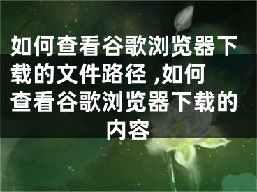 如何查看谷歌瀏覽器下載的文件路徑 ,如何查看谷歌瀏覽器下載的內(nèi)容