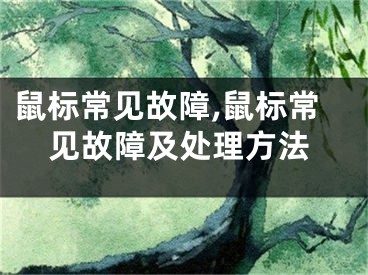 鼠標(biāo)常見故障,鼠標(biāo)常見故障及處理方法