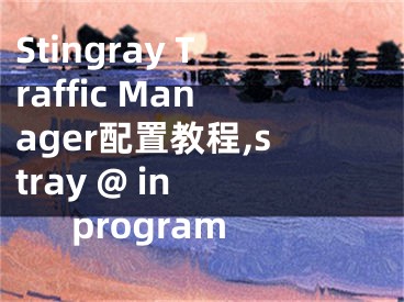 Stingray Traffic Manager配置教程,stray @ in program