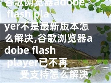 谷歌瀏覽器adobe flash player不是最新版本怎么解決,谷歌瀏覽器adobe flash player已不再受支持怎么解決