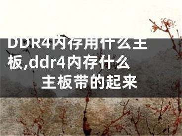 DDR4內(nèi)存用什么主板,ddr4內(nèi)存什么主板帶的起來