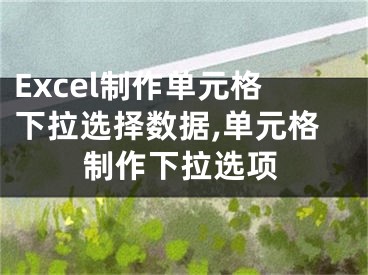 Excel制作單元格下拉選擇數(shù)據(jù),單元格制作下拉選項