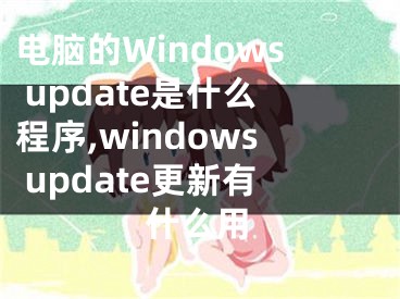 電腦的Windows update是什么程序,windows update更新有什么用