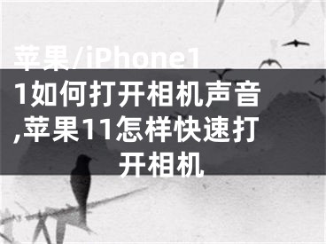 蘋果/iPhone11如何打開相機(jī)聲音 ,蘋果11怎樣快速打開相機(jī)