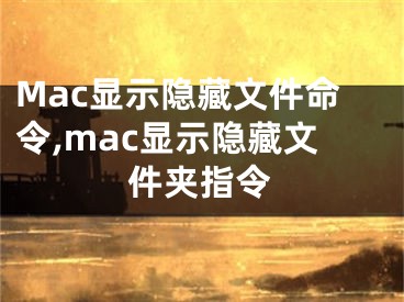 Mac顯示隱藏文件命令,mac顯示隱藏文件夾指令