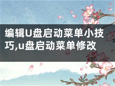 編輯U盤啟動菜單小技巧,u盤啟動菜單修改