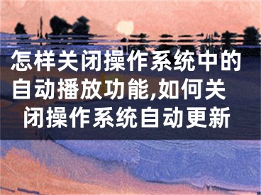 怎樣關(guān)閉操作系統(tǒng)中的自動播放功能,如何關(guān)閉操作系統(tǒng)自動更新