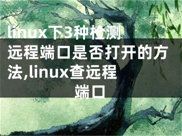 linux下3種檢測(cè)遠(yuǎn)程端口是否打開(kāi)的方法,linux查遠(yuǎn)程端口