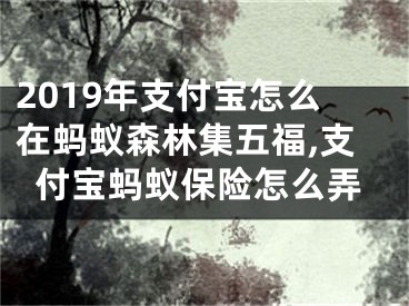 2019年支付寶怎么在螞蟻森林集五福,支付寶螞蟻保險(xiǎn)怎么弄