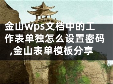 金山wps文檔中的工作表單獨怎么設(shè)置密碼,金山表單模板分享