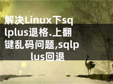 解決Linux下sqlplus退格.上翻鍵亂碼問題,sqlplus回退