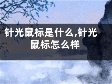 針光鼠標(biāo)是什么,針光鼠標(biāo)怎么樣