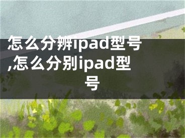 怎么分辨ipad型號(hào),怎么分別ipad型號(hào)