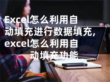 Excel怎么利用自動(dòng)填充進(jìn)行數(shù)據(jù)填充,excel怎么利用自動(dòng)填充功能