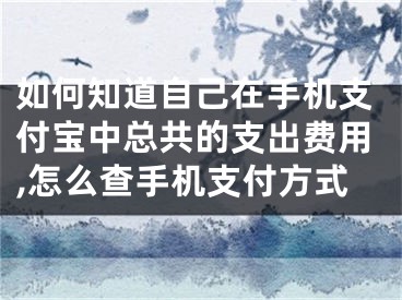 如何知道自己在手機支付寶中總共的支出費用,怎么查手機支付方式