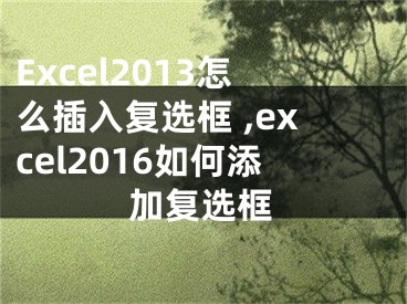 Excel2013怎么插入復(fù)選框 ,excel2016如何添加復(fù)選框