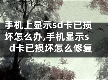 手機上顯示sd卡已損壞怎么辦,手機顯示sd卡已損壞怎么修復(fù)