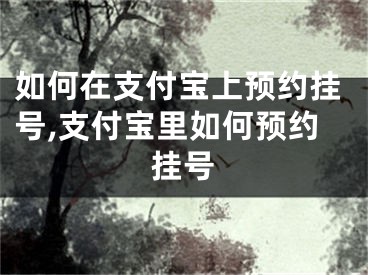 如何在支付寶上預(yù)約掛號,支付寶里如何預(yù)約掛號