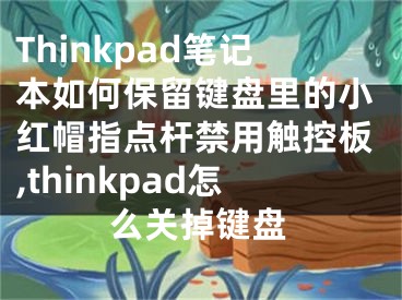 Thinkpad筆記本如何保留鍵盤里的小紅帽指點桿禁用觸控板,thinkpad怎么關掉鍵盤