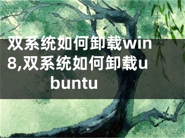 雙系統(tǒng)如何卸載win8,雙系統(tǒng)如何卸載ubuntu