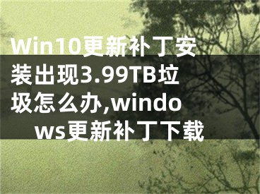 Win10更新補(bǔ)丁安裝出現(xiàn)3.99TB垃圾怎么辦,windows更新補(bǔ)丁下載