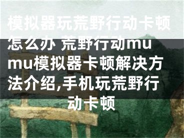 模擬器玩荒野行動(dòng)卡頓怎么辦 荒野行動(dòng)mumu模擬器卡頓解決方法介紹,手機(jī)玩荒野行動(dòng)卡頓