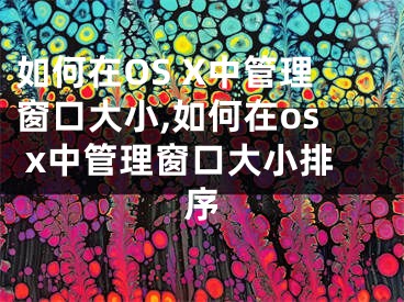 如何在OS X中管理窗口大小,如何在os x中管理窗口大小排序