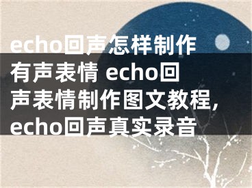 echo回聲怎樣制作有聲表情 echo回聲表情制作圖文教程,echo回聲真實錄音