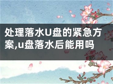 處理落水U盤的緊急方案,u盤落水后能用嗎