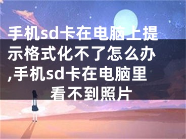 手機sd卡在電腦上提示格式化不了怎么辦 ,手機sd卡在電腦里看不到照片