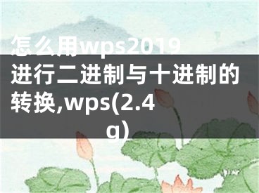 怎么用wps2019進行二進制與十進制的轉(zhuǎn)換,wps(2.4g)