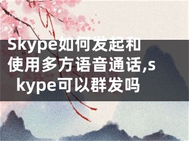 Skype如何發(fā)起和使用多方語音通話,skype可以群發(fā)嗎