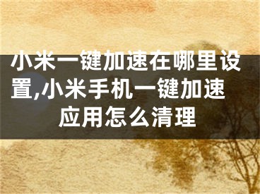 小米一鍵加速在哪里設(shè)置,小米手機一鍵加速應(yīng)用怎么清理