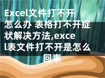 Excel文件打不開怎么辦 表格打不開癥狀解決方法,excel表文件打不開是怎么回事