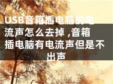 USB音箱插電腦的電流聲怎么去掉 ,音箱插電腦有電流聲但是不出聲