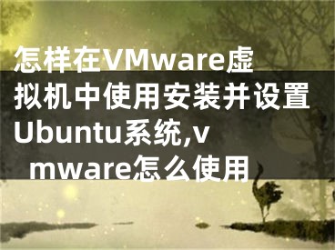 怎樣在VMware虛擬機中使用安裝并設(shè)置Ubuntu系統(tǒng),vmware怎么使用