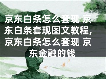 京東白條怎么套現(xiàn) 京東白條套現(xiàn)圖文教程,京東白條怎么套現(xiàn) 京東金融的錢