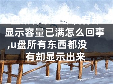 u盤所有東西都沒有卻顯示容量已滿怎么回事 ,u盤所有東西都沒有卻顯示出來