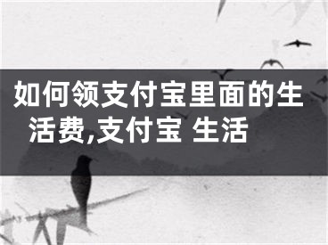 如何領(lǐng)支付寶里面的生活費,支付寶 生活