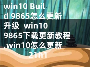 win10 Build 9865怎么更新升級  win10 9865下載更新教程,win10怎么更新21h1