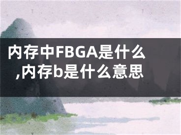 內(nèi)存中FBGA是什么,內(nèi)存b是什么意思