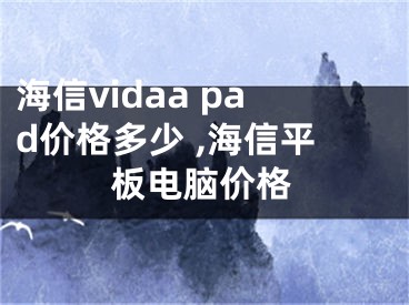 海信vidaa pad價格多少 ,海信平板電腦價格