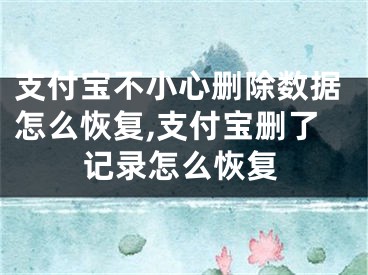 支付寶不小心刪除數(shù)據(jù)怎么恢復(fù),支付寶刪了記錄怎么恢復(fù)