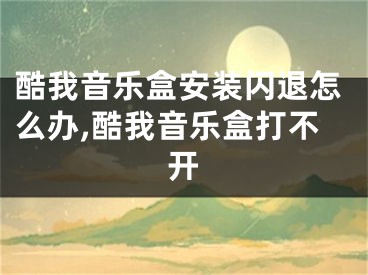 酷我音樂盒安裝閃退怎么辦,酷我音樂盒打不開