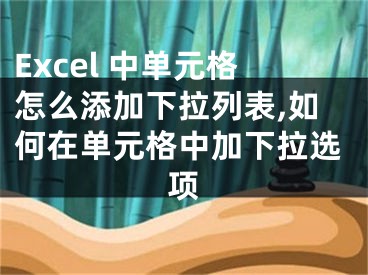 Excel 中單元格怎么添加下拉列表,如何在單元格中加下拉選項