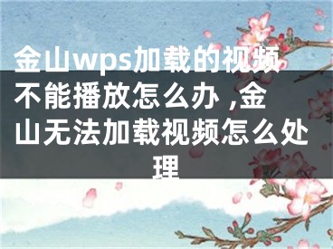 金山wps加載的視頻不能播放怎么辦 ,金山無法加載視頻怎么處理