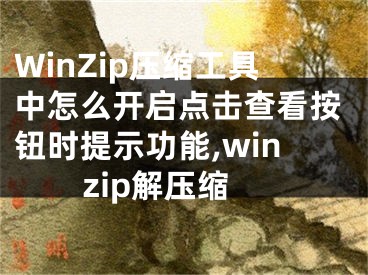 WinZip壓縮工具中怎么開啟點擊查看按鈕時提示功能,winzip解壓縮