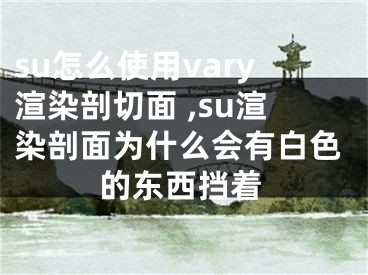 su怎么使用vary渲染剖切面 ,su渲染剖面為什么會(huì)有白色的東西擋著