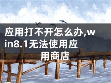 win8 Metro應(yīng)用打不開(kāi)怎么辦,win8.1無(wú)法使用應(yīng)用商店