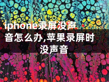 iphone錄屏沒(méi)聲音怎么辦,蘋(píng)果錄屏?xí)r沒(méi)聲音